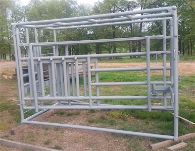 P&C Longhorn Cage with Horn Locks